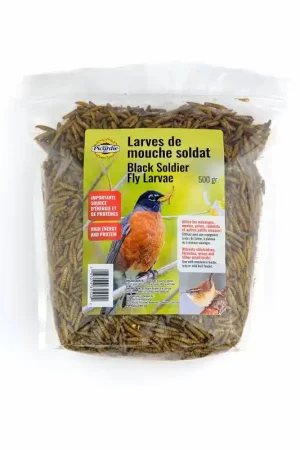 Direct From Factory Mon Copain My Buddy 65500 Bird Food Maggot, 500 g