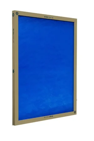 True Blue 116251 Air Filter, 25 in L, 16 in W, 2 MERV, Cardboard Frame, Pack of 12 Super Sale