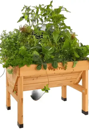 VegTrug Classic VTNS0361 Raised Bed Planter, 103.4 cm L, 76 cm W, 80 cm H, Cedar Wood, Natural Deal