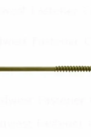 Buy Online SaberDrive 52536 Lag Screw, 5/16 in Thread, 5 in L, Star Drive
