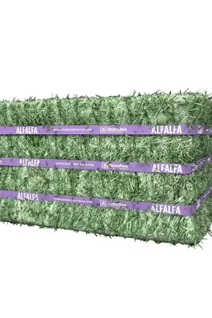Standlee 1100-20025-0-0 Alfalfa Compressed Bale, Pack of 24 Deal