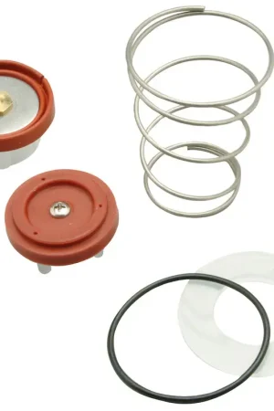 Authentic Zurn Pressure Vacuum Breaker Repair Kit