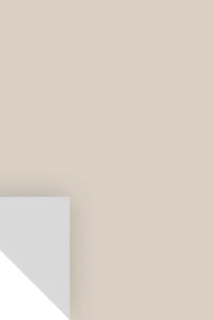 Next Day Delivery Samplize Benjamin Moore Pale Oak Peel & Stick Color Sample OC-20, Pack of 8