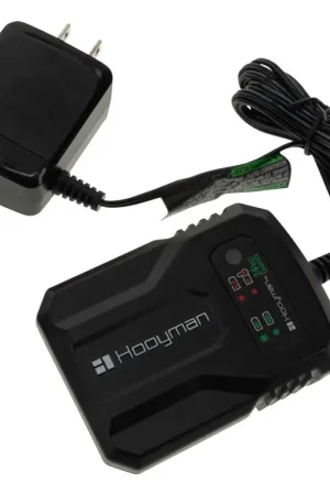 Hooyman 24 V Lithium-Ion Battery Charger 1 each, Pack of 4 Popular