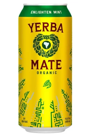 Yerba Madre Beverage 15.5 fl. oz. 1 pk, Pack of 12 One Day Deal