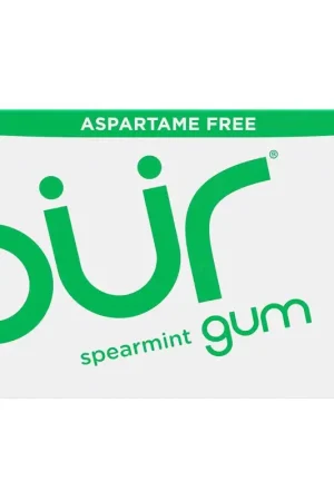 Holiday Sale PUR Sugar Free Spearmint Chewing Gum 1 pk 9 pc, Pack of 12