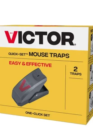 Victor Quick-Set Small Snap Trap For Mice 2 pk, Pack of 12 In Demand