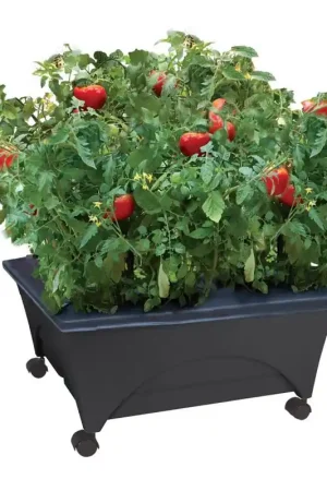City Pickers 11 in. H X 24 in. W X 20 in. D Resin Garden Bed Charcoal Special Discount
